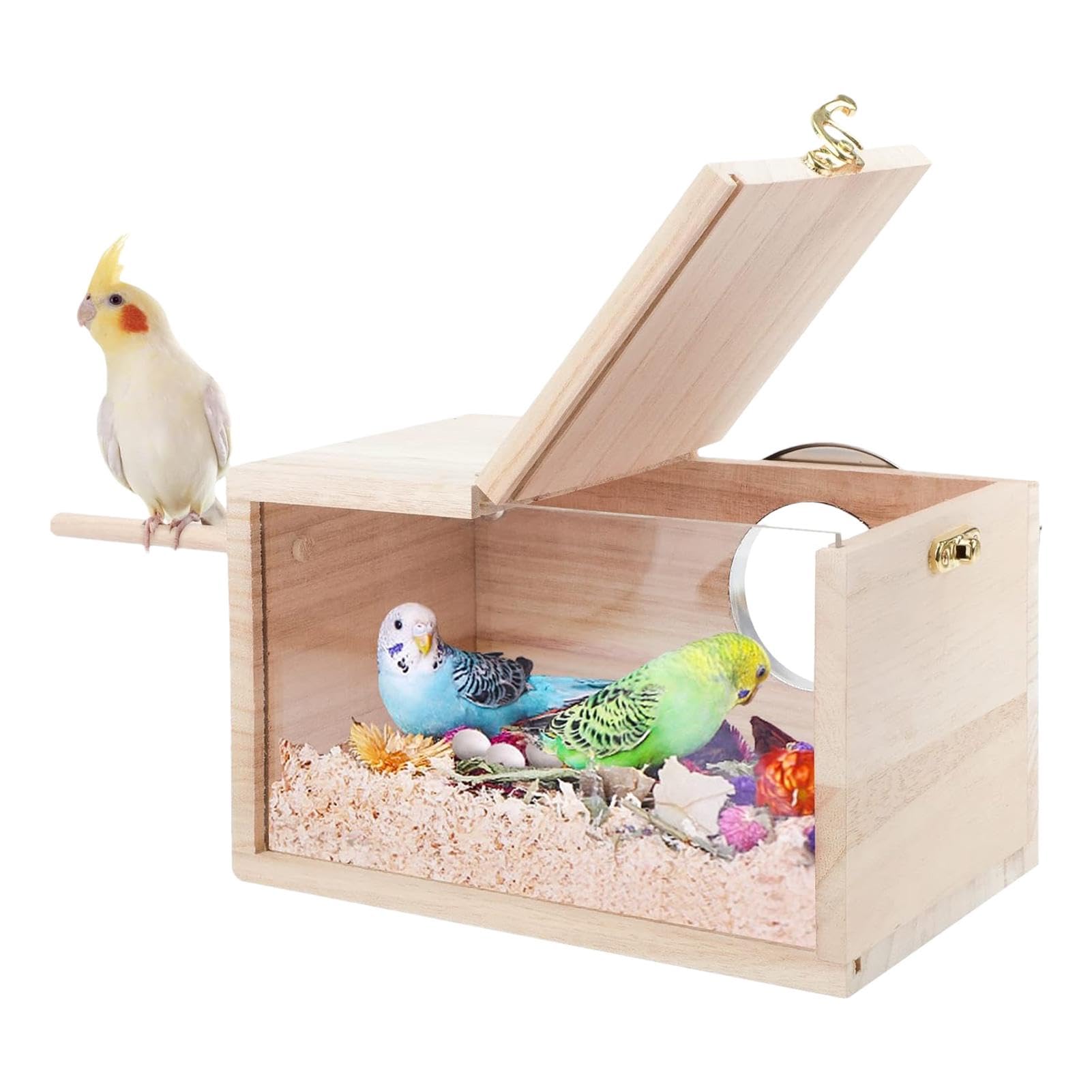 木製鳥用巣箱 透明容器付き インコ 巣箱 外掛け繁殖箱 Amazon.co.jp